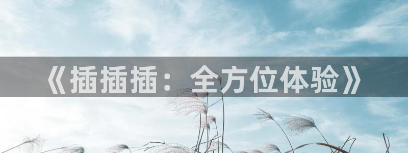 悟空电影免费高清观看