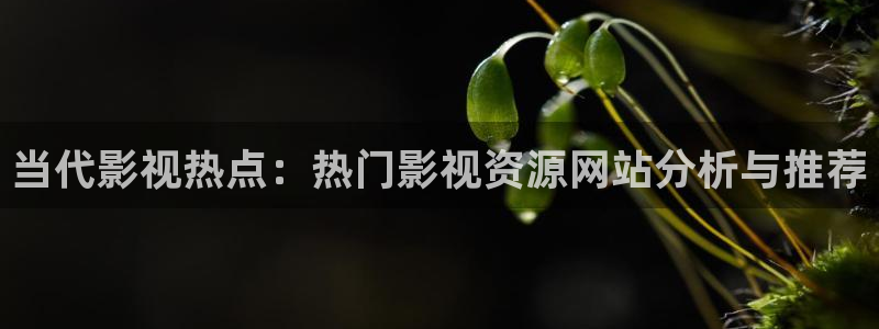孙悟空和阿狸的动画片视频
